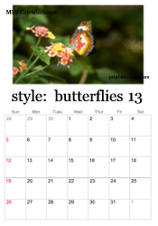 full year butterfly calendar