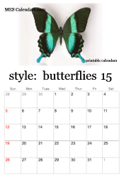2024 butterfly calendar