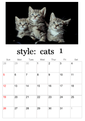 January kitten calendar