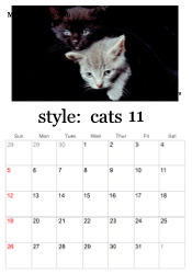 November kitten calendar