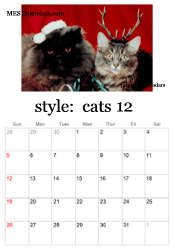 December kitten calendar