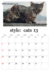 full year kitten calendar