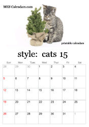 2025 kitten calendar