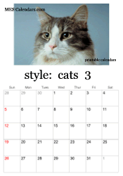 March kitten calendar