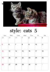 May kitten calendar
