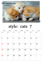 July kitten calendar
