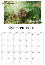 October big cats calendar