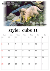 November big cats calendar
