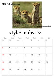 December big cats calendar