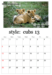 full year big cats calendar