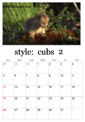 February big cats calendar