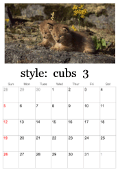 March big cats calendar