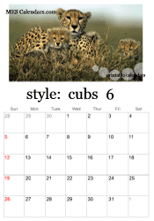 June big cats calendar