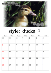 January duckling calendar