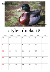December duckling calendar