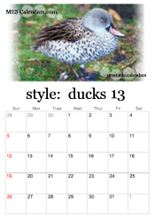 full year duckling calendar
