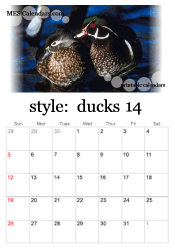 printable duckling calendar