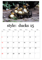 2025 duckling calendar