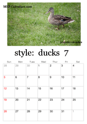 July duckling calendar