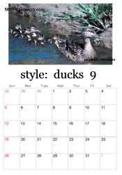 September duckling calendar