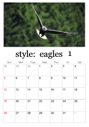 January eagle photo calendar