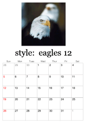 December eagle photo calendar