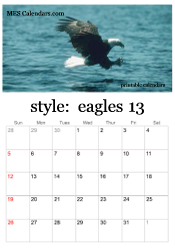 full year eagle photo calendar