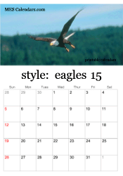 2024 eagle photo calendar