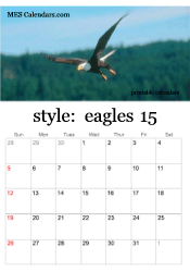2025 eagle photo calendar