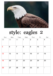 February eagle photo calendar