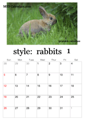 January bunny rabbit calendar