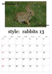 full year bunny rabbit calendar