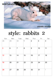 February bunny rabbit calendar