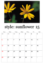 2024 sunflower photo calendar