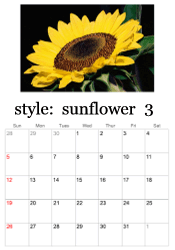 March sunflower photo calendar