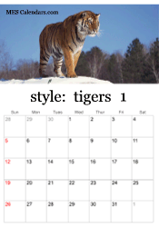 January tiger photo calendar