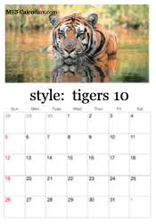 October tiger photo calendar