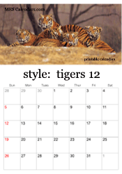December tiger photo calendar