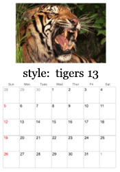full year tiger photo calendar
