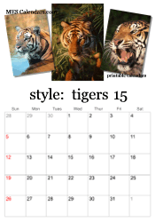 2024 tiger photo calendar