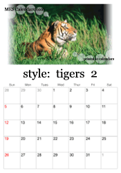 February tiger photo calendar