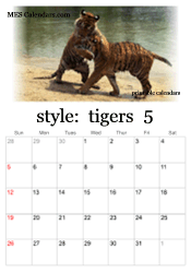 May tiger photo calendar