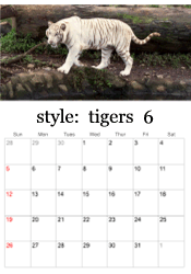 June tiger photo calendar
