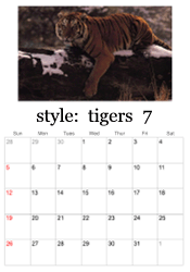 July tiger photo calendar