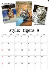 August tiger photo calendar