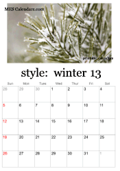 full year winter photo calendar