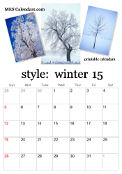2025 winter photo calendar