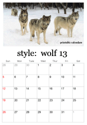 full year wolf photo calendar