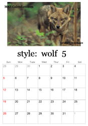 May wolf photo calendar
