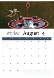 Hummingbird late summer calendar